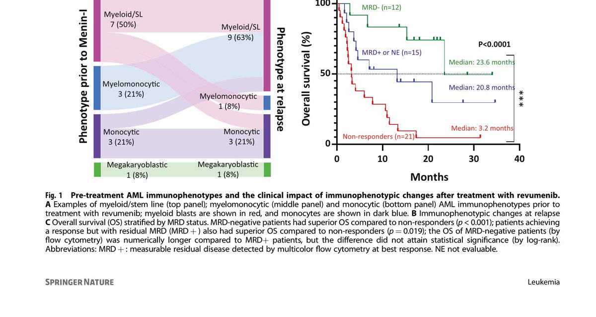 sanamloghavi's tweet photo. MRD-negative remission → median OS 23.6 months; MRD-positive → 20.8 months; non-responders → only 3.2 months (p<0.0001). Sankey plot shows how phenotypes shift at relapse 📊 #hemepath #menin #flowcytometry https://t.co/HQgcrZOgSD