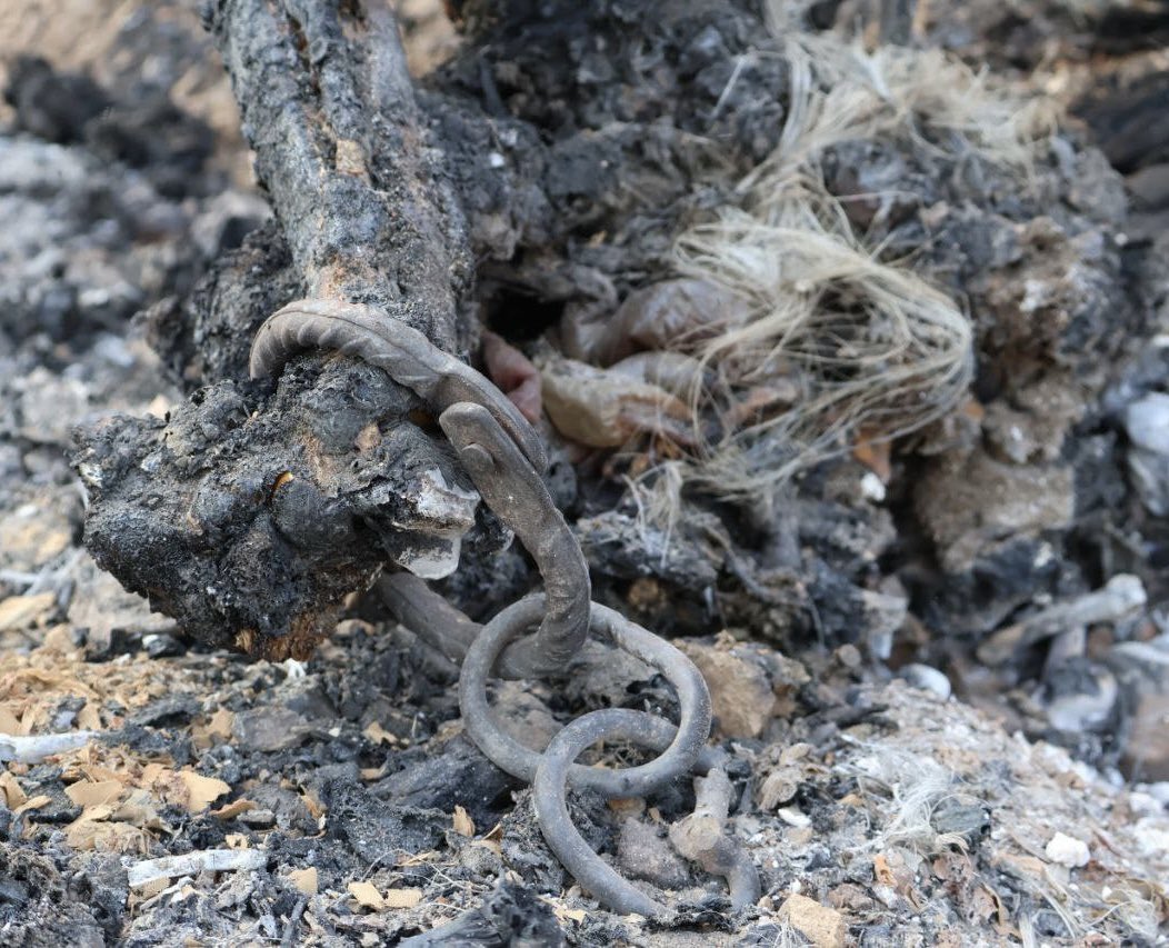 🚨 Evidence of AA Mass Killings 🚨

New photos from #AnnTownship confirm deliberate arson, debunking #AA claims of a military strike. Victims were brutally executed on-site—a clear attempt to mask war crimes with disinformation.

#MyanmarFactCheck #HumanRights #Rakhine #WarCrimes