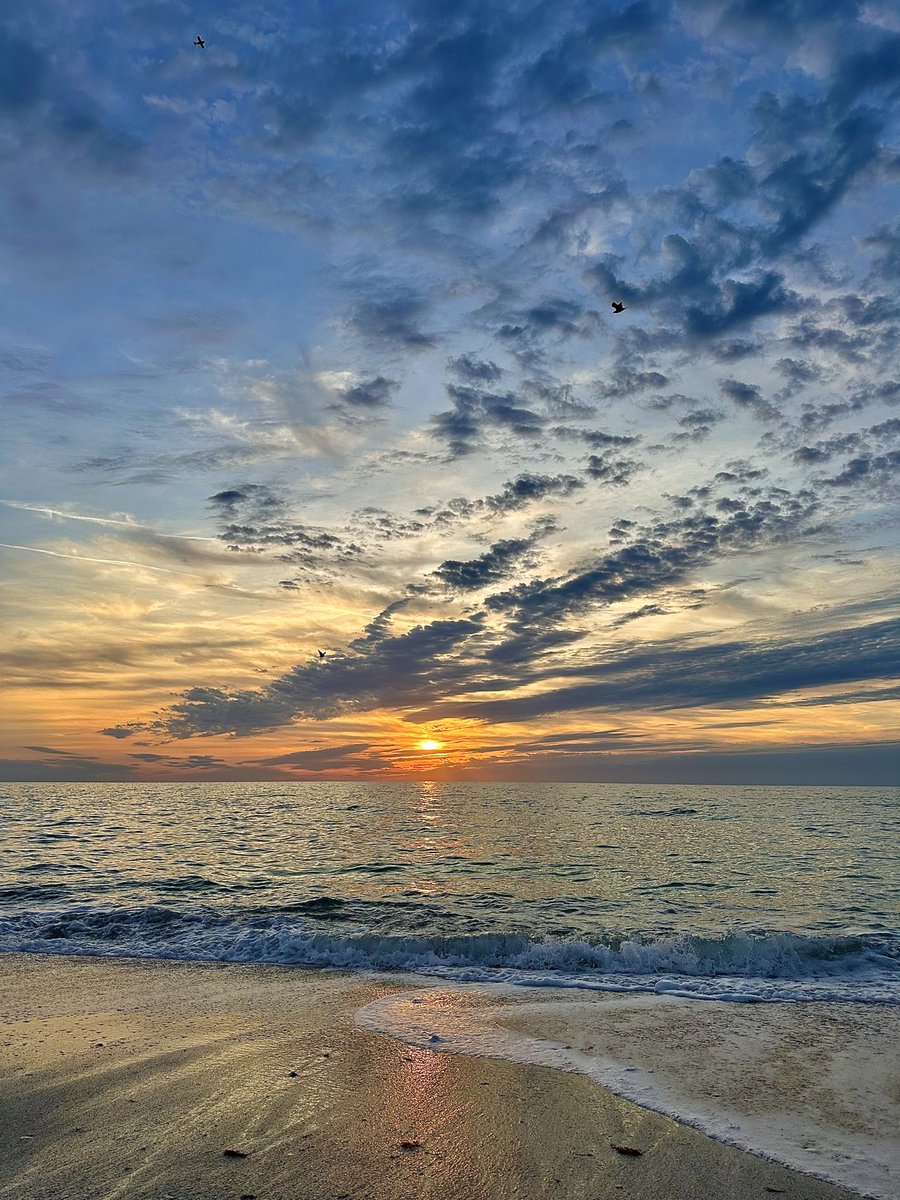 Happy Wednesday! #BeachLife