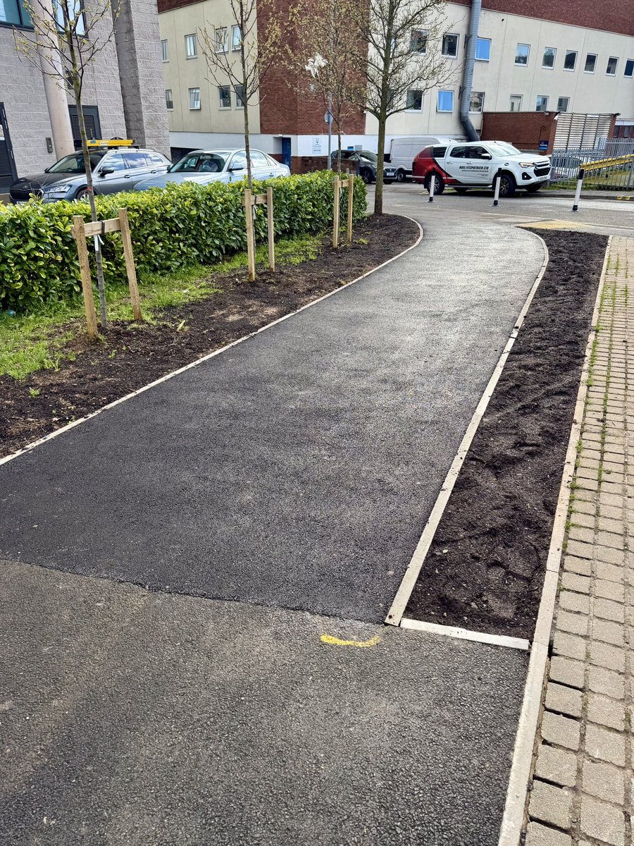 Noel Fitzpatrick Ltd tweet media