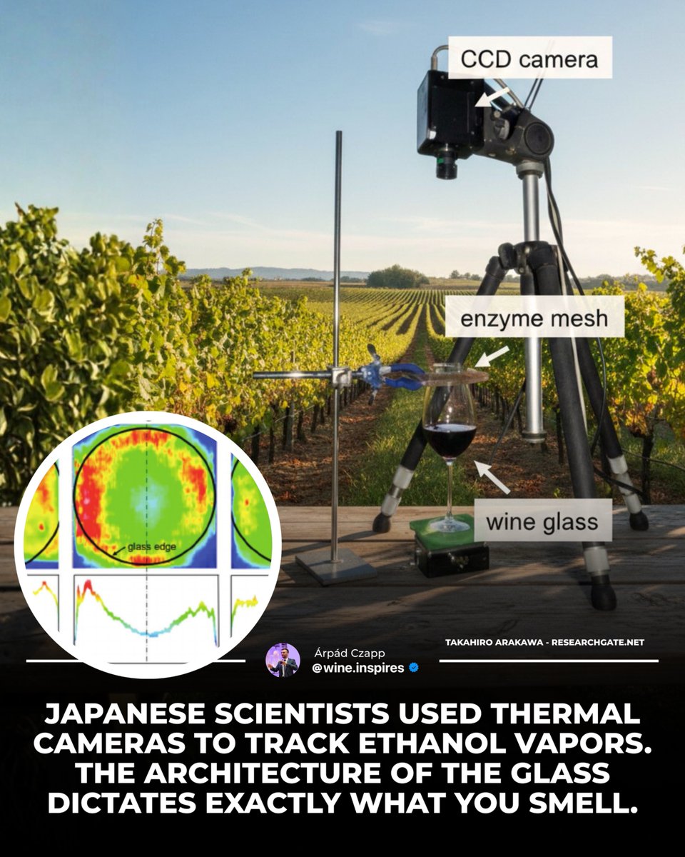 Árpád Czapp tweet media