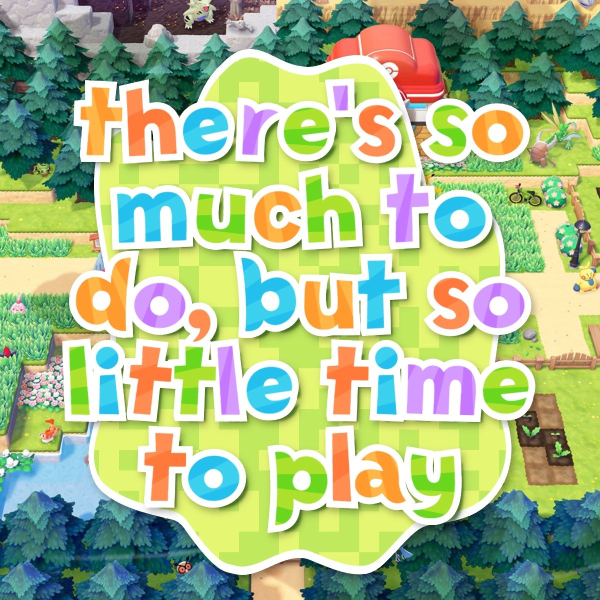 Zebra | Connor tweet media