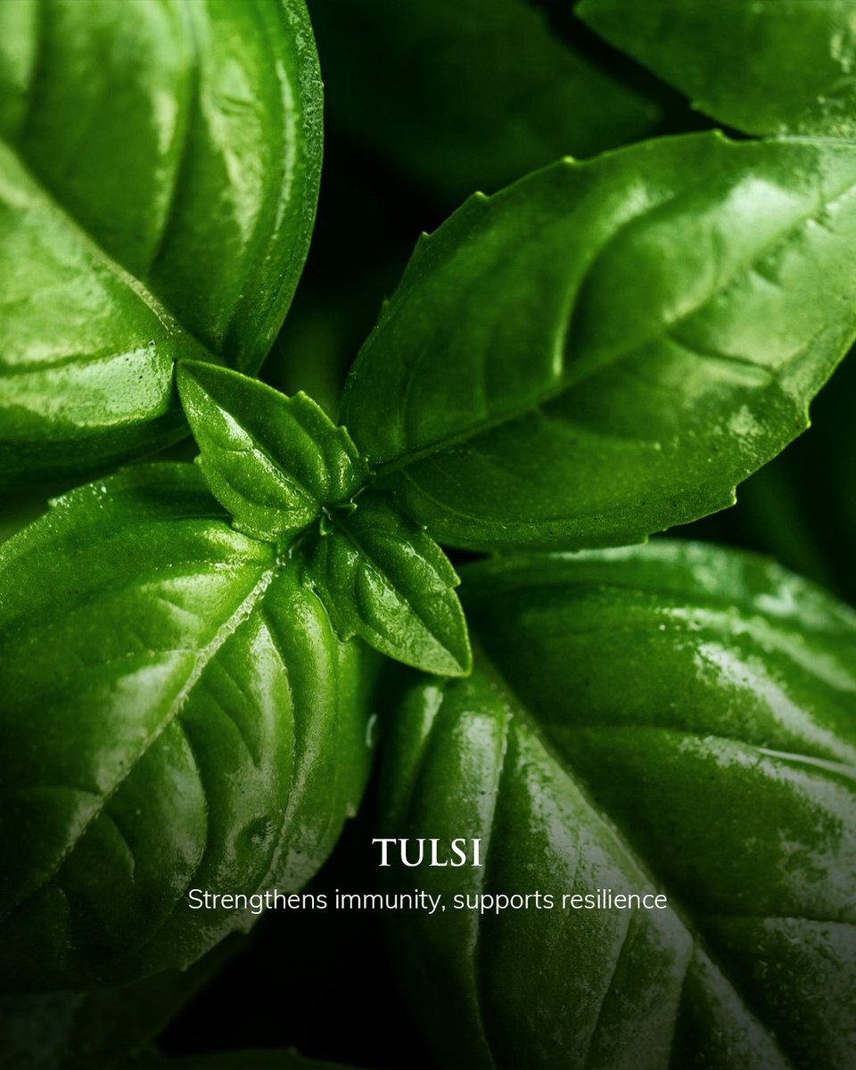 J Wellness Circle tweet media