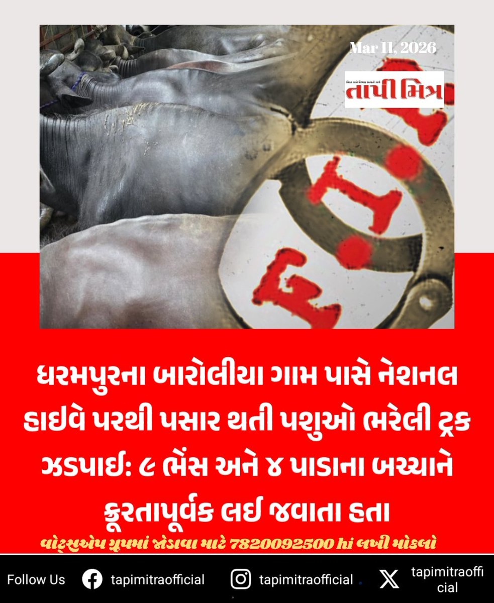 tapimitraofficial tweet media