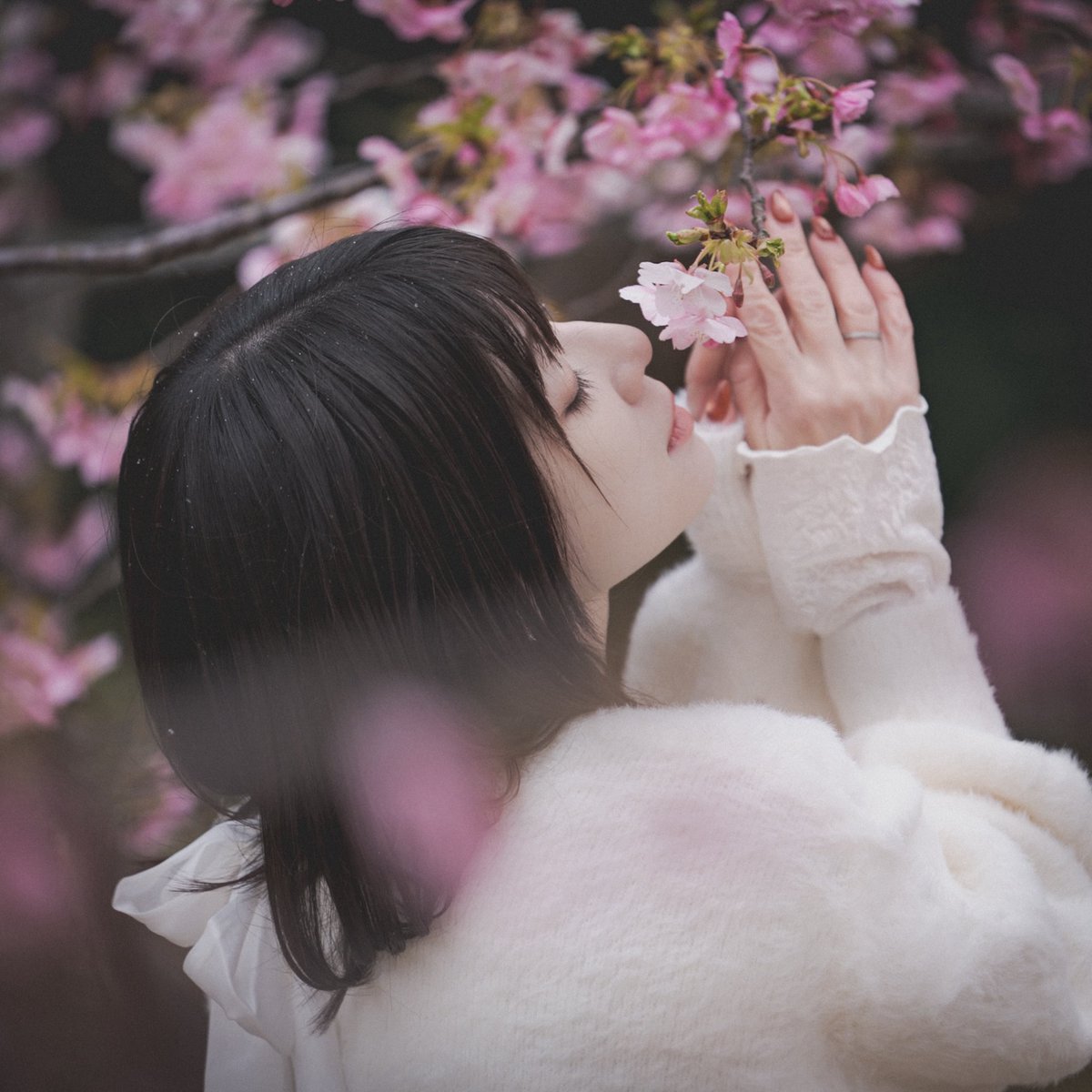 じょー(o314110) tweet media