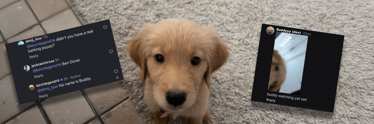 🌟 Magic ⚡️🧞‍♂️✨ tweet media