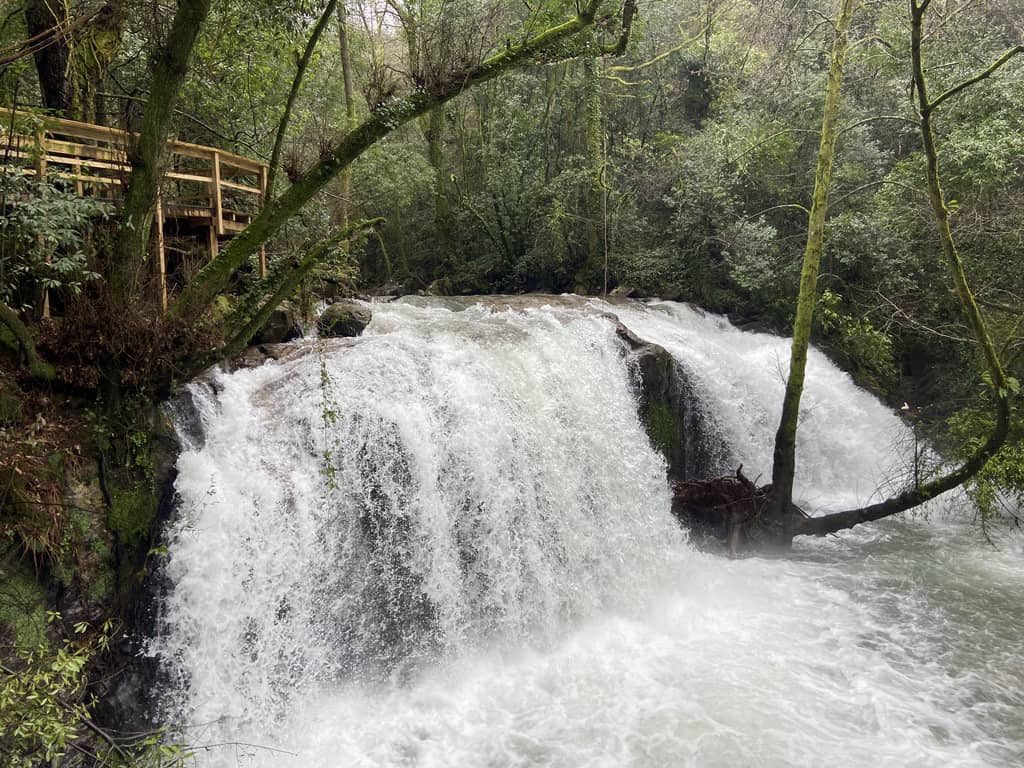 Yendo por la vida tweet media