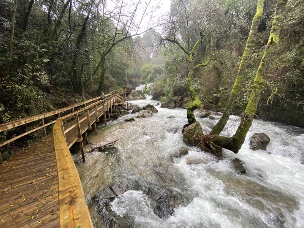 Yendo por la vida tweet media