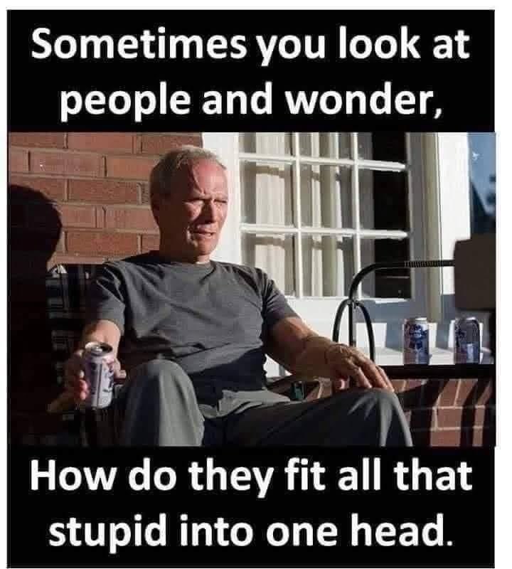 Aldo Notte 𓅪 tweet media