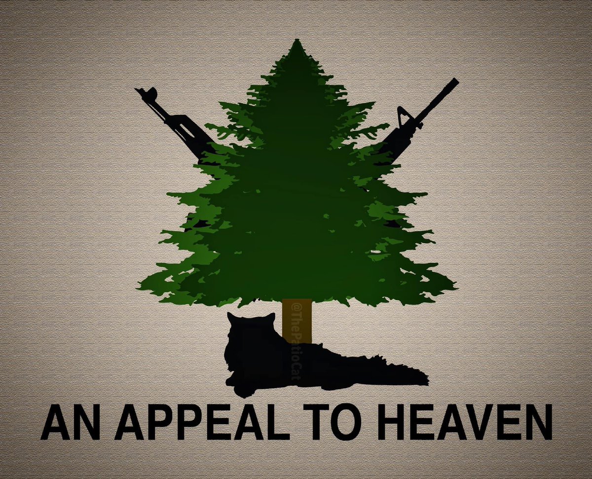 PMAN - www.americanpartisan.org tweet media