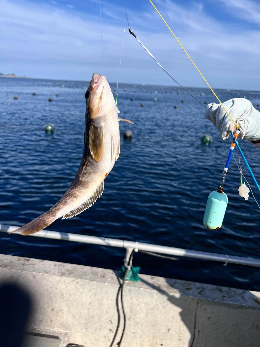 Boat fishing is really addictive!!!🤪