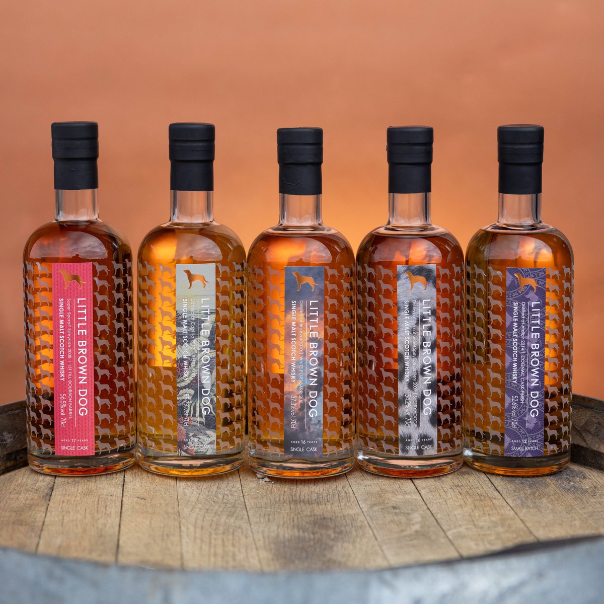 Little Brown Dog Spirits tweet media