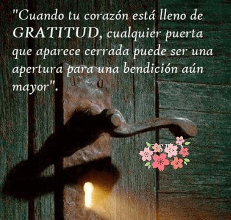 Manuel Bou sleiman tweet media