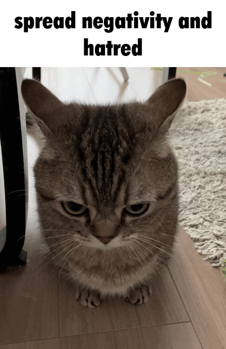 ˚ . . ˚ . 𝚃𝚊𝚒 𝚈𝚊𝚗𝚐 𝚂𝚑𝚘𝚞 ⋆˙⟡ tweet media