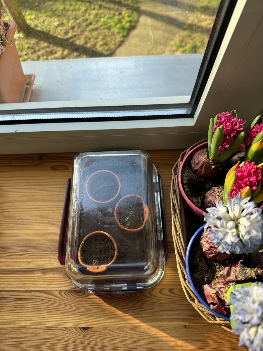 Kâni Toprak tweet media