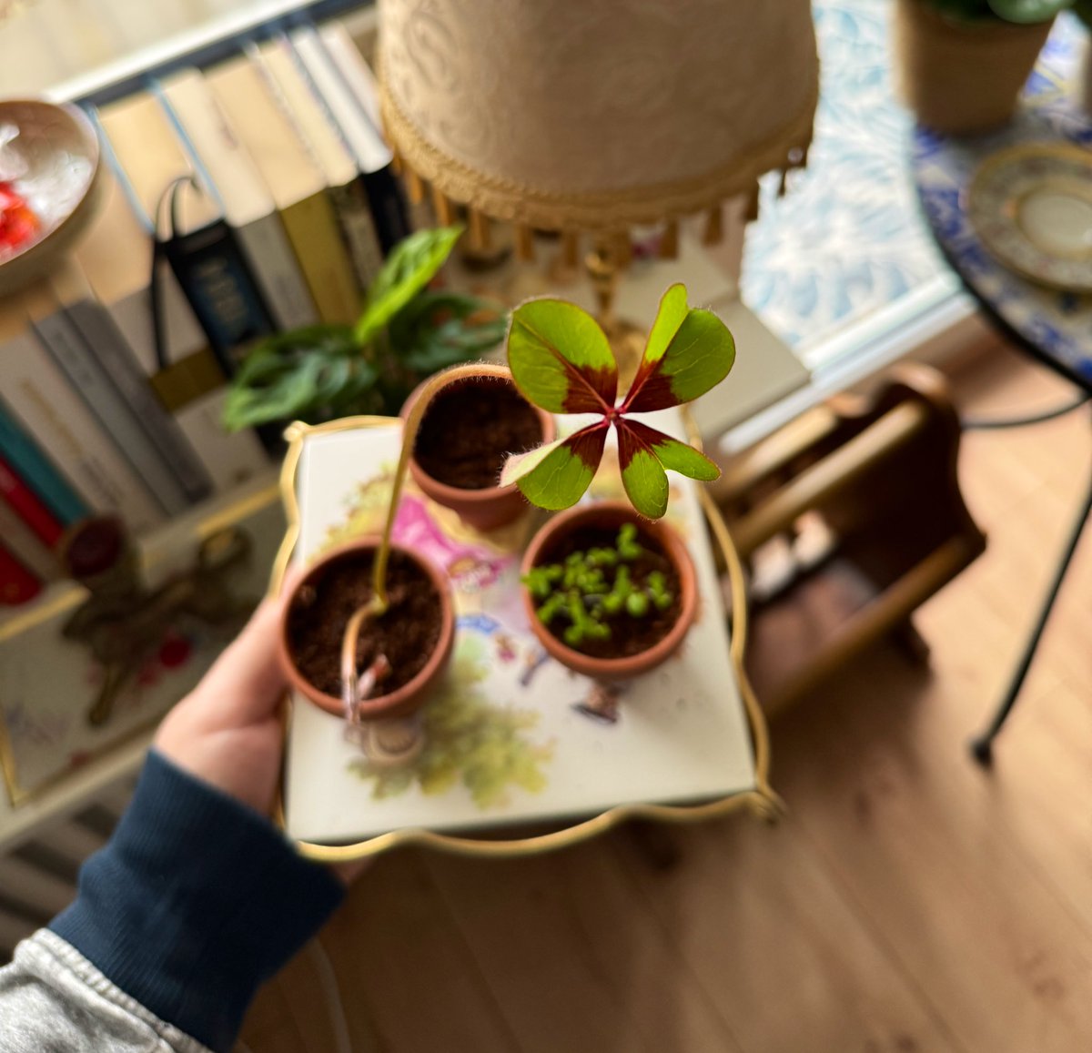 Kâni Toprak tweet media