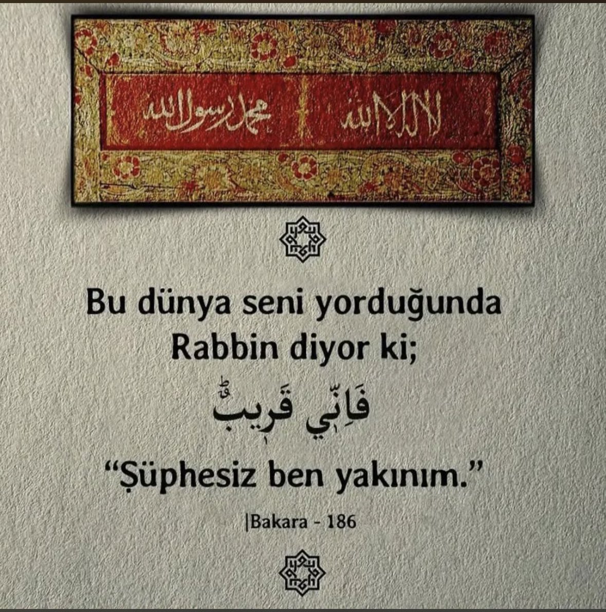 Fatih yaman tweet media