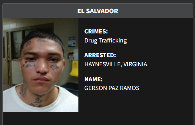 ICE Washington D.C. tweet media