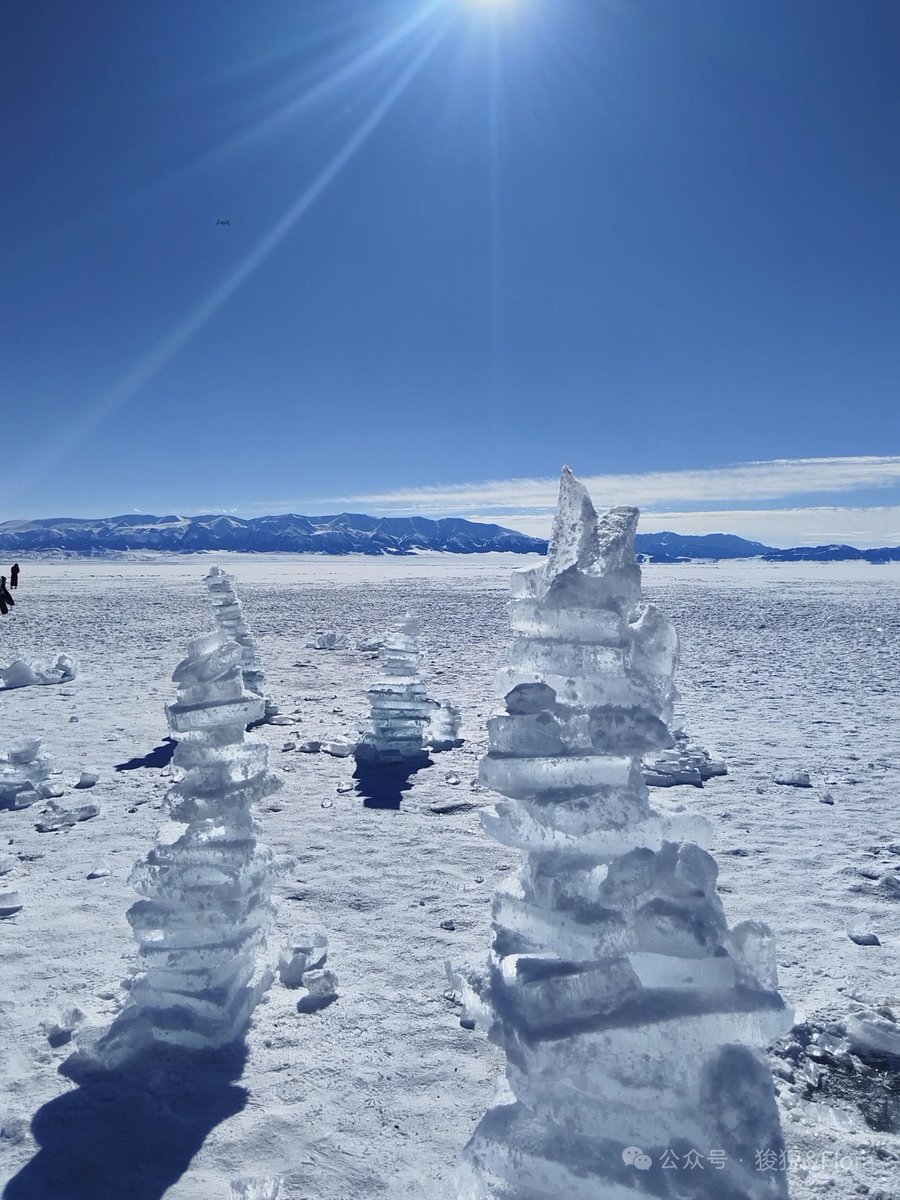 Wade（互fo） tweet media