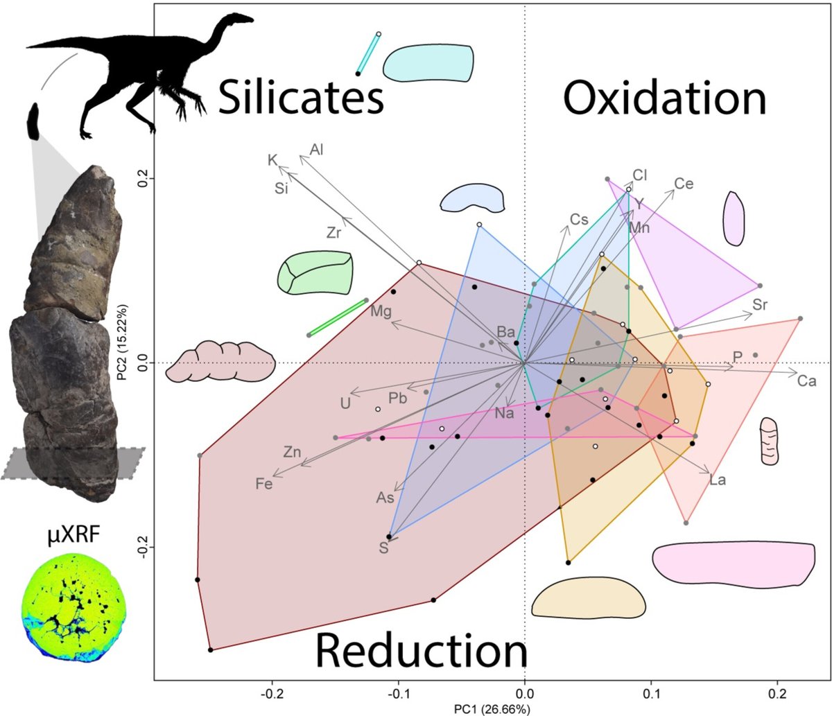 Robin Ninon tweet media