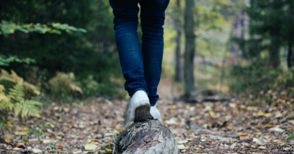 MPEinkc's tweet photo. 21 Outdoor Activities For KC-Area Homeschoolers: https://t.co/p9PZmHcUoh https://t.co/SVEtwDAJvo