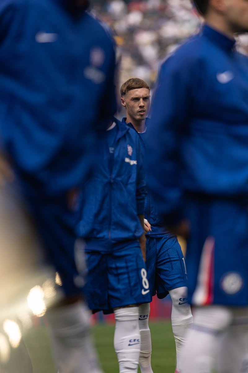 Chelsea India ⭐⭐ tweet media