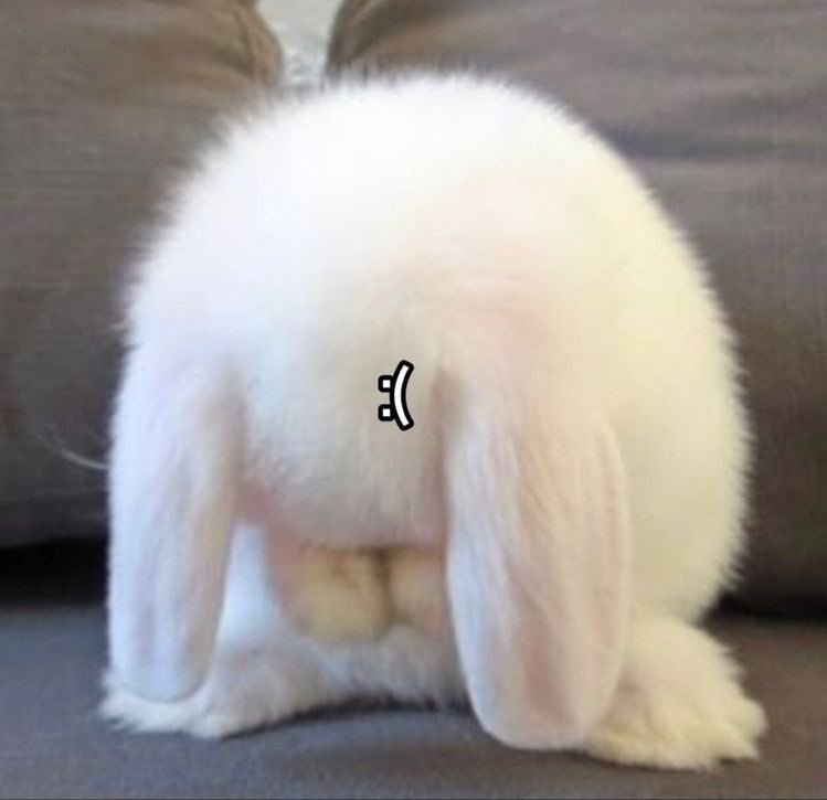 vinilbunny's tweet photo. @bylereverafter … https://t.co/bkrmv5Hk96