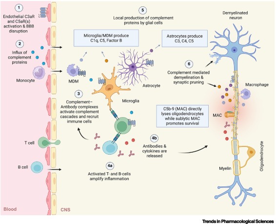 Trends in Pharmacological Sciences tweet media