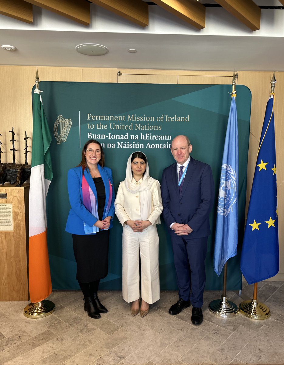 Ireland at UN tweet media