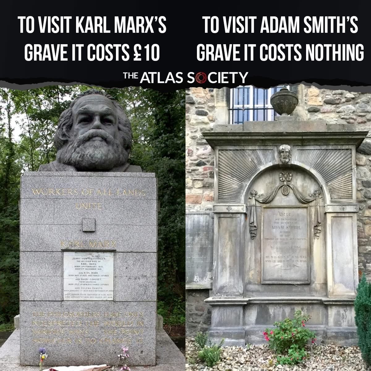 The Rabbit Hole tweet media