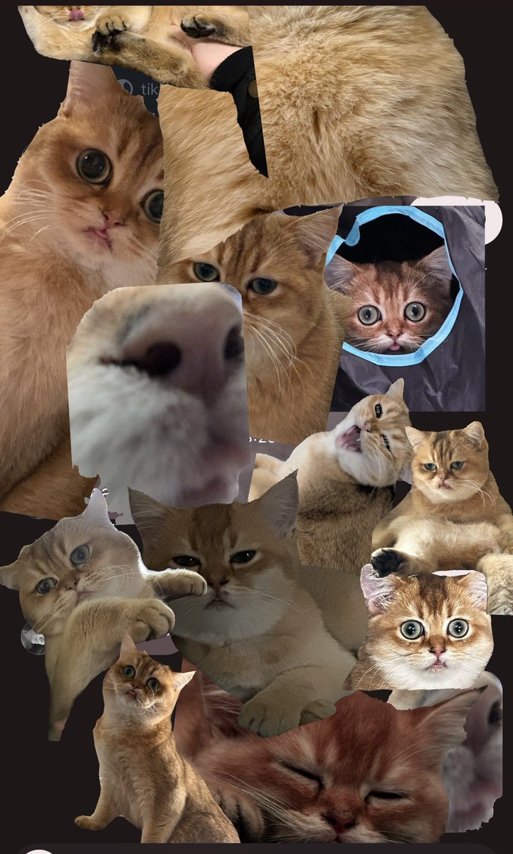 Hab den Chat mit einer Freundin verschönert