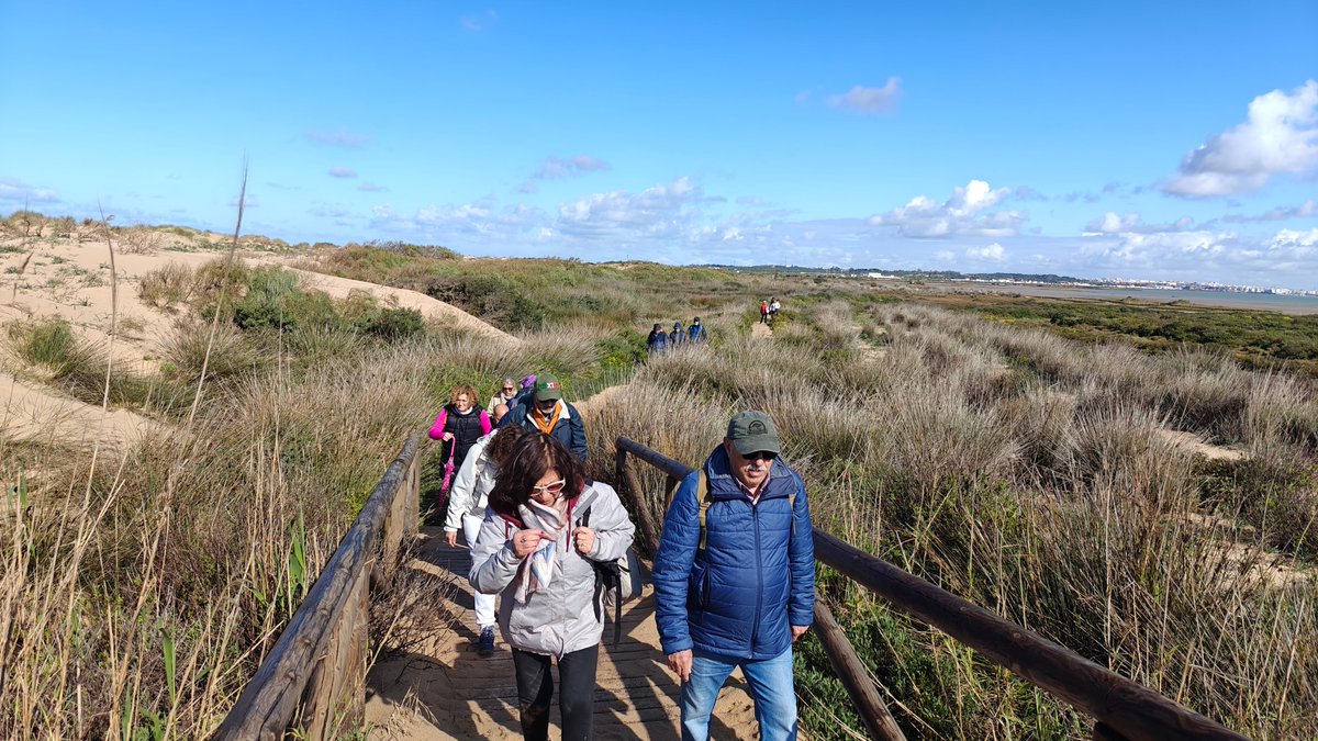 IAPHpatrimonio's tweet image. Ruta interpretativa en la playa de #Camposoto con el Centro de Educación para Adultos de San Fernando dentro #VESTIGIUM, proyecto proyecto I+D+i del @IAPHpatrimonio @CulturaAND financiado con una ayuda del @P_Recuperacion