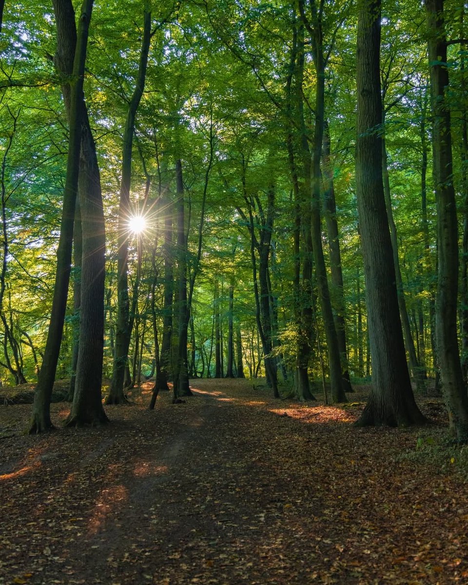 Anthony Vickers tweet media