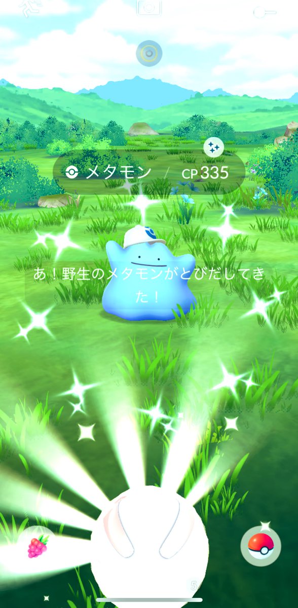 mlb_kuma's tweet photo. メタモンの色違い✨ゲット
そして73にレベルアップ！

#ポケモンGO
#ポケモンGO色違い https://t.co/eOOidr5Hze
