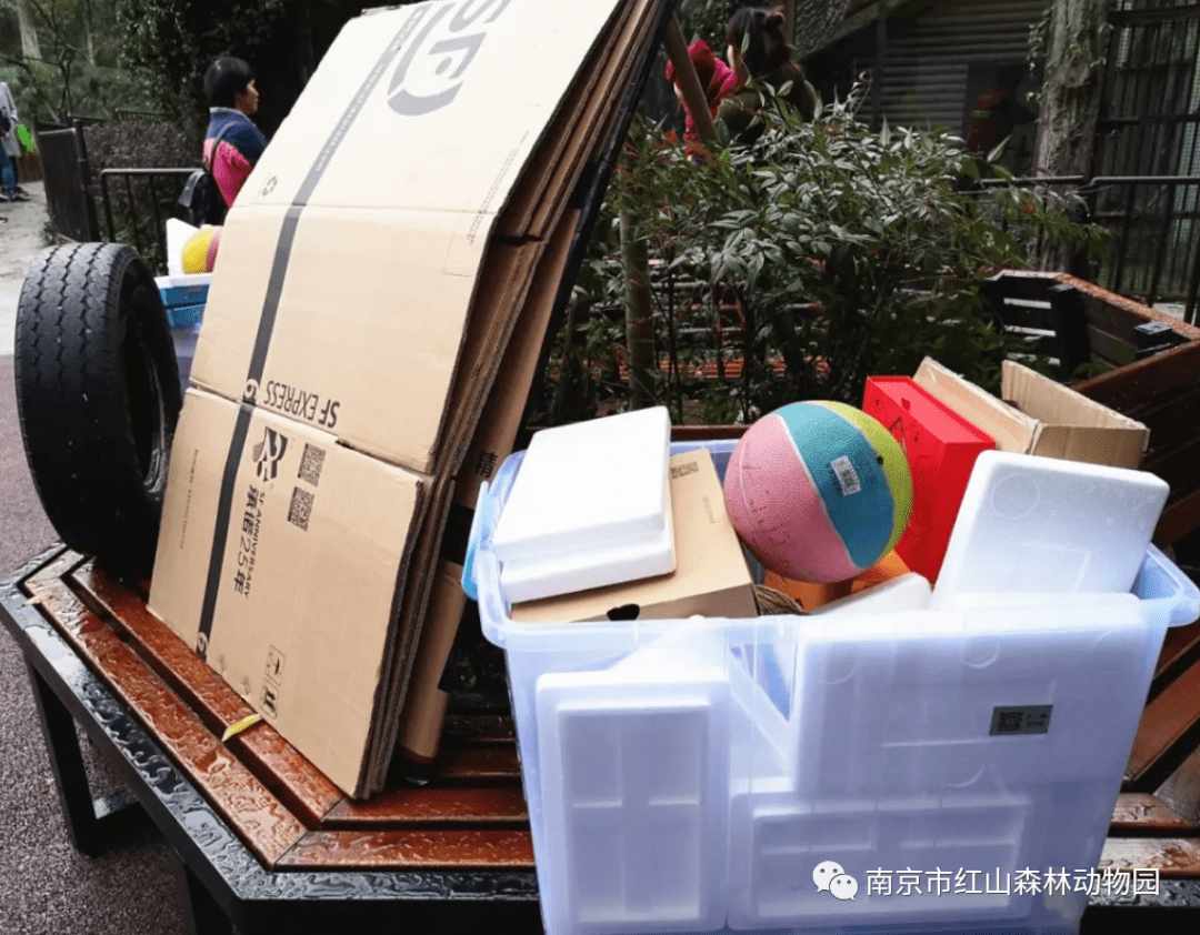 andres alejandro tweet media