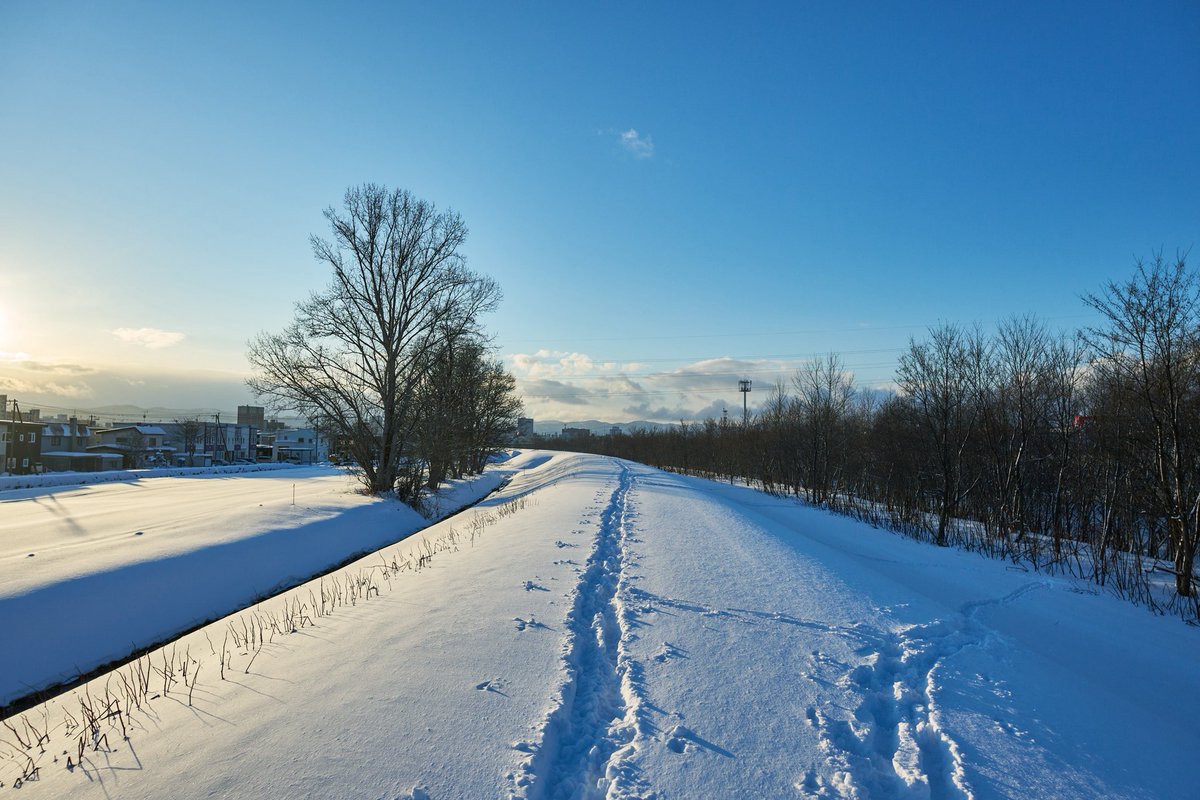 Sigmaの新しい15mm F1.4 DC | Contemporaryを持って旭川の実家近くの堤防へ。
すでに誰かの足跡があったので、あまり深く考えないまま歩き出してしまいました。
１枚目がこれから行く道。２枚目が来た道。

#Sigma15mmF14Contemporary
#owashiyosukephoto