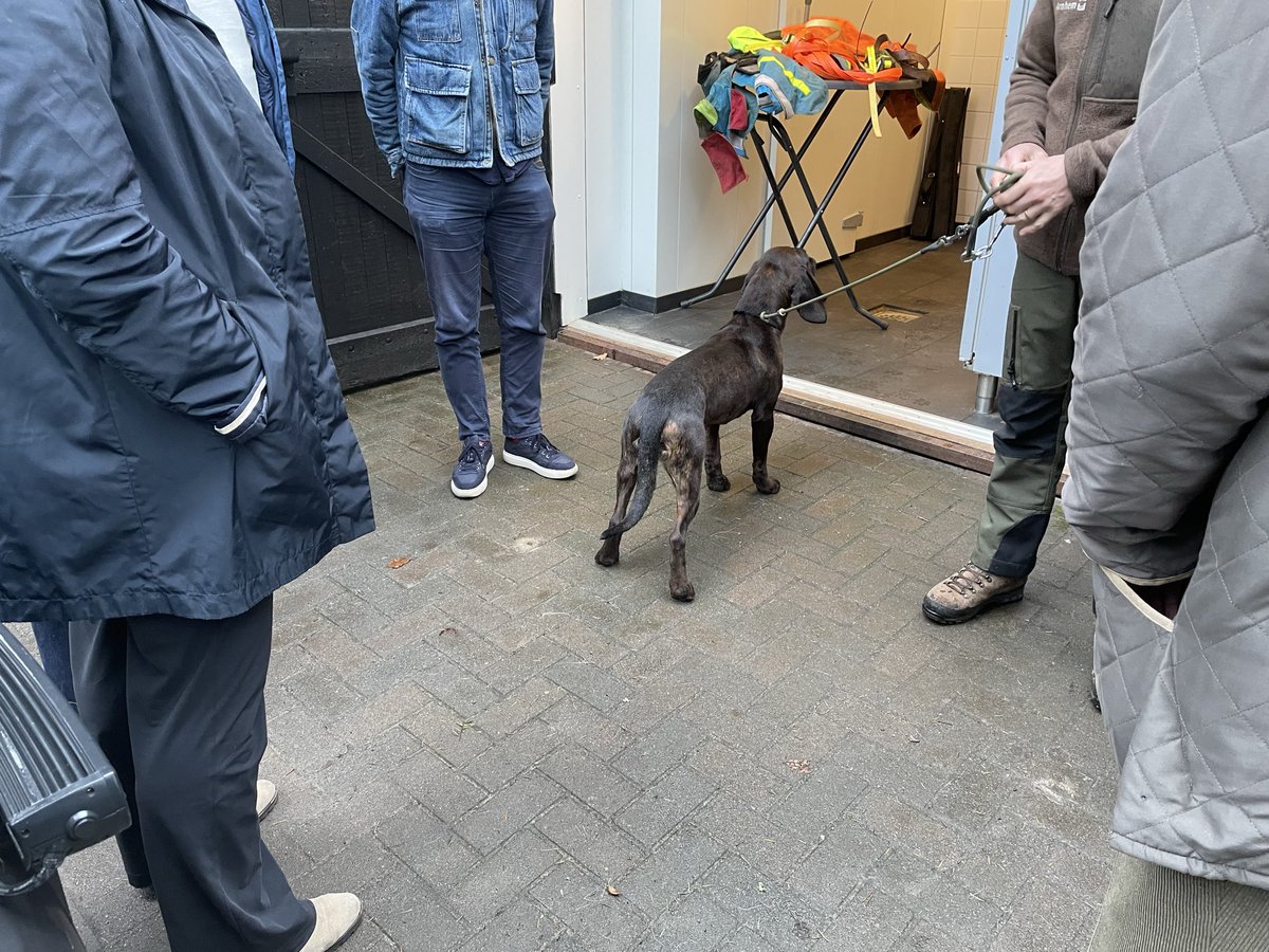 PVV Gelderland tweet media