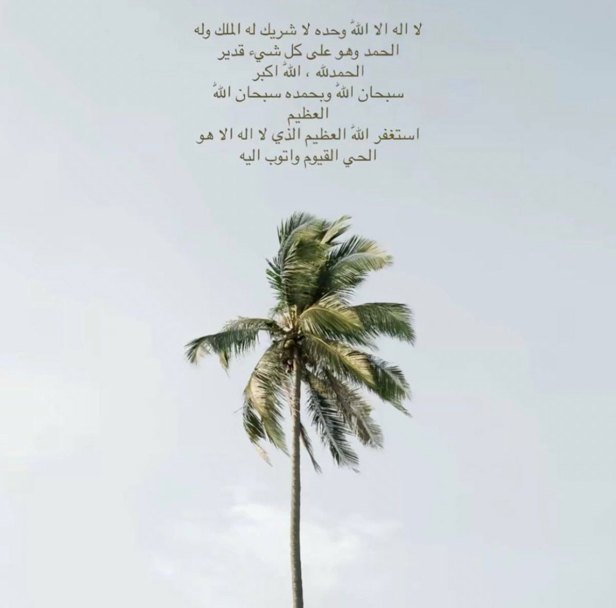 Mzhzza's tweet photo. https://t.co/Qzr02Iuk2W