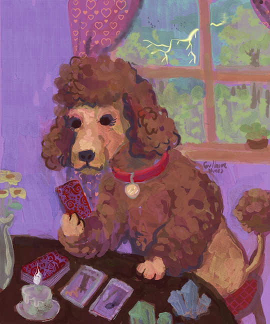poodle asking the same question to the tarot until getting the answer she wants