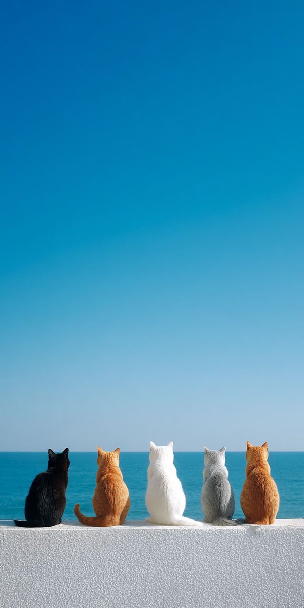 The pets only 🐾 tweet media