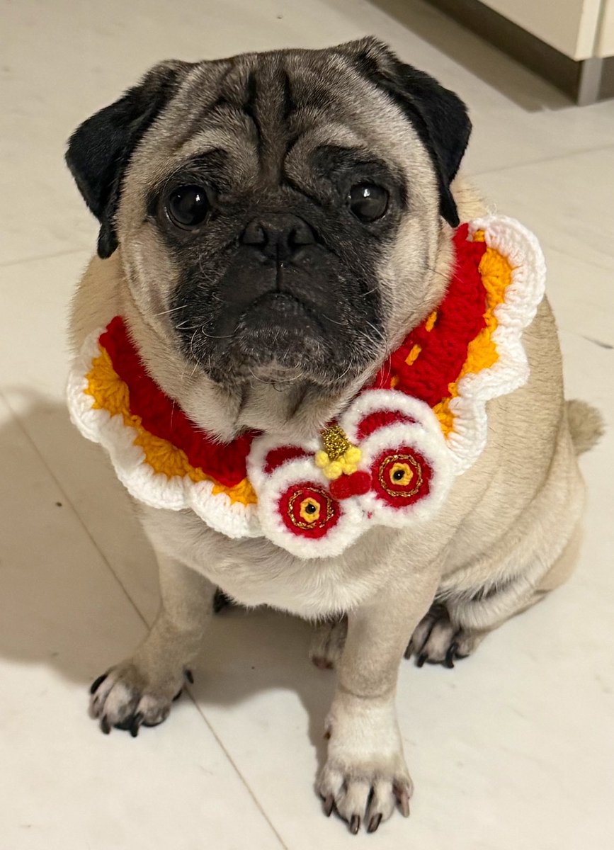 VignuzziLab tweet media