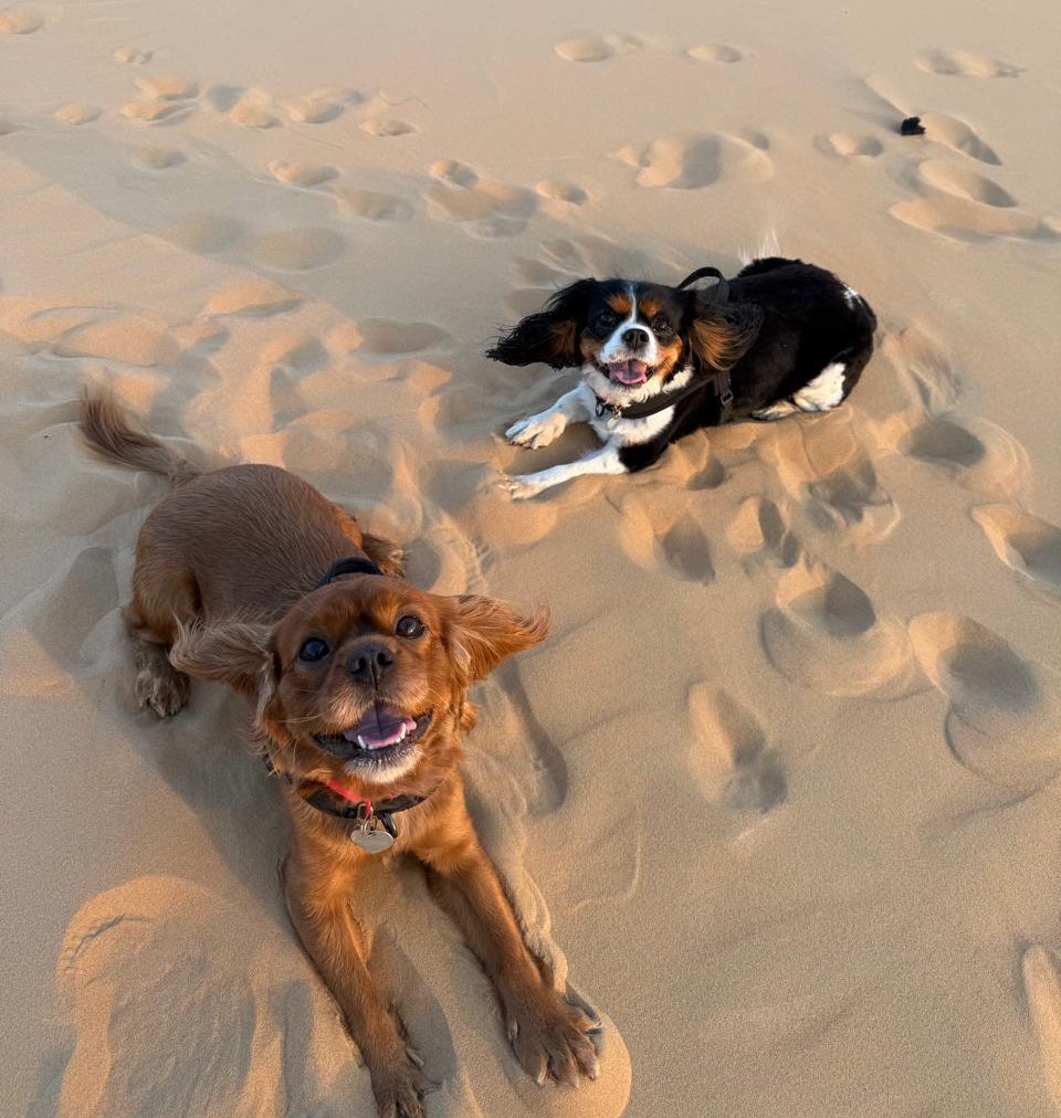 Stamatina Stamatakou tweet media