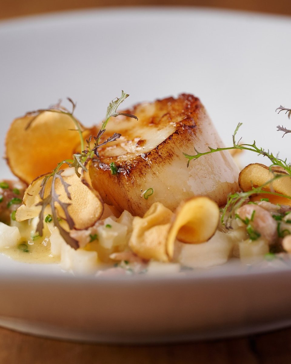 pipeandglass's tweet image. Fresh in this morning 📷
Beautiful Isle of Mull scallops from hodgsonfish  – sweet, delicate and perfectly paired with Jerusalem artichoke three ways, shrimp and brown butter vinaigrette.
#pipeandglass #michelinstar #onthemenu #dailyspecials #scallops #freshseafood