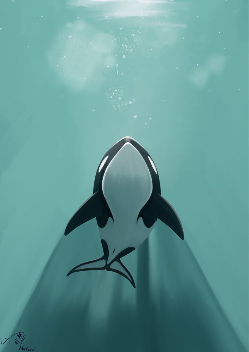めかぶ絵