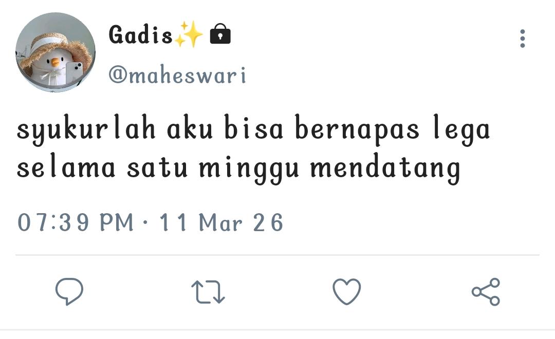 color_code tweet media