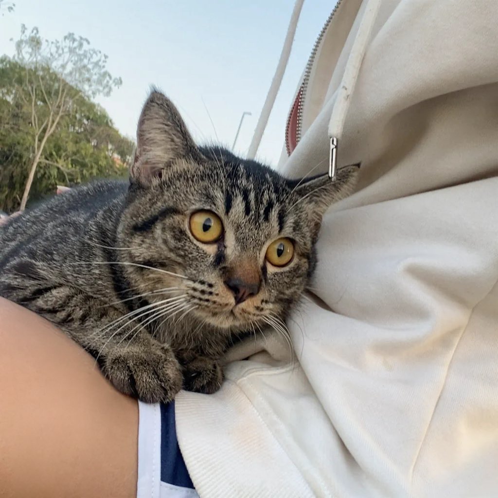 itimmmmmmm tweet media