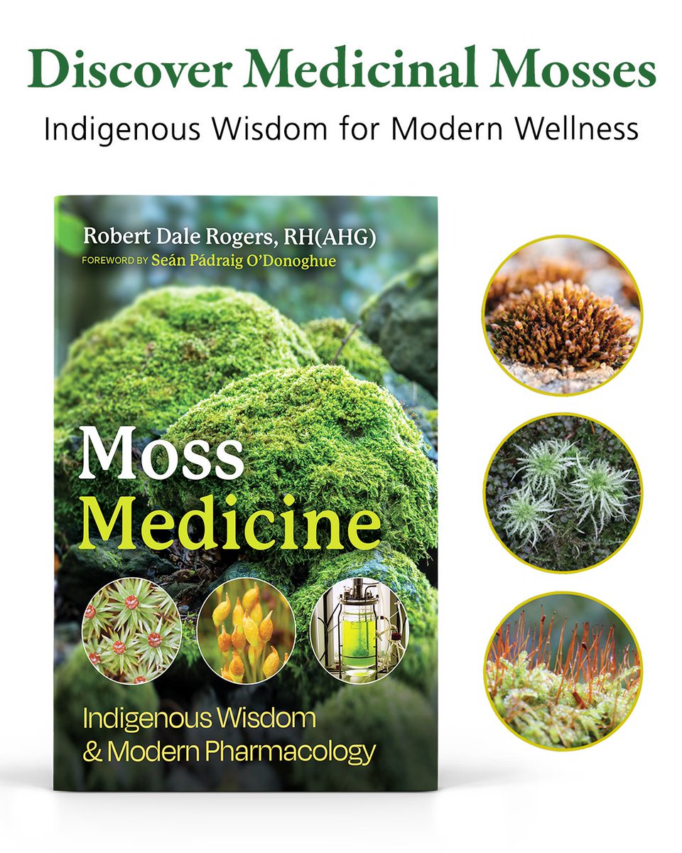 Inner Traditions tweet media