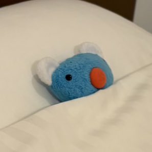 ぺね と ぼり tweet media