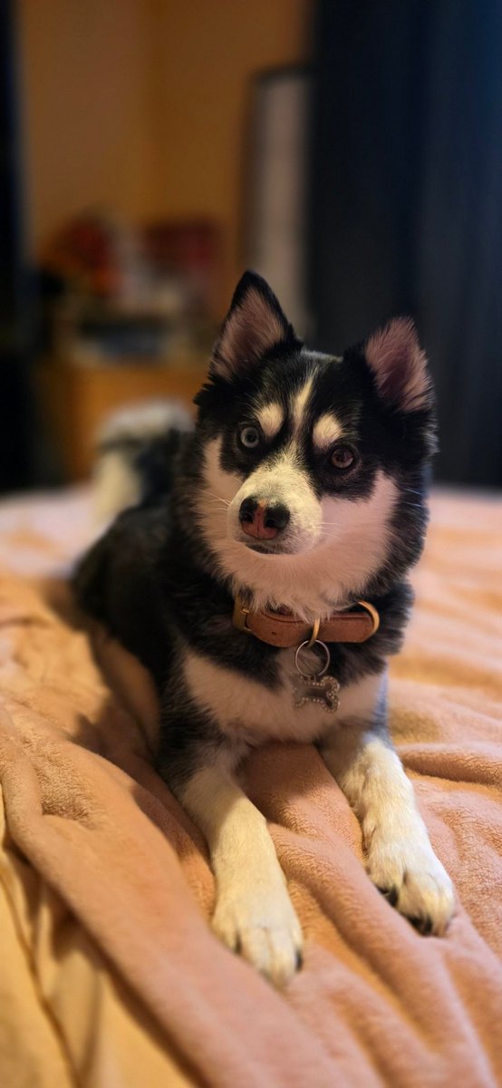 Kimalwe 🌸 tweet media