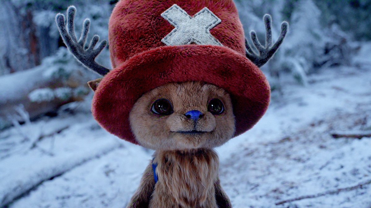 Quilva ⭕️ tweet media